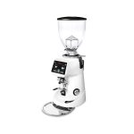 Fiorenzato F64 Evo Pro Coffee Grinder